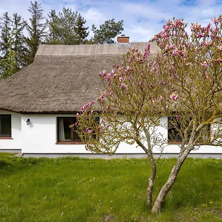 Holiday home Moehlend Waase